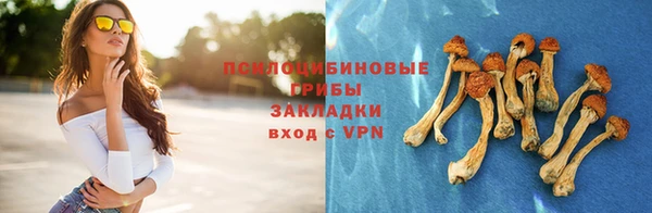 СК Абаза