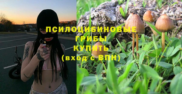 не бодяженный Осинники